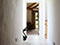 Skyber Barn, Cornwall, Interior, Corridor